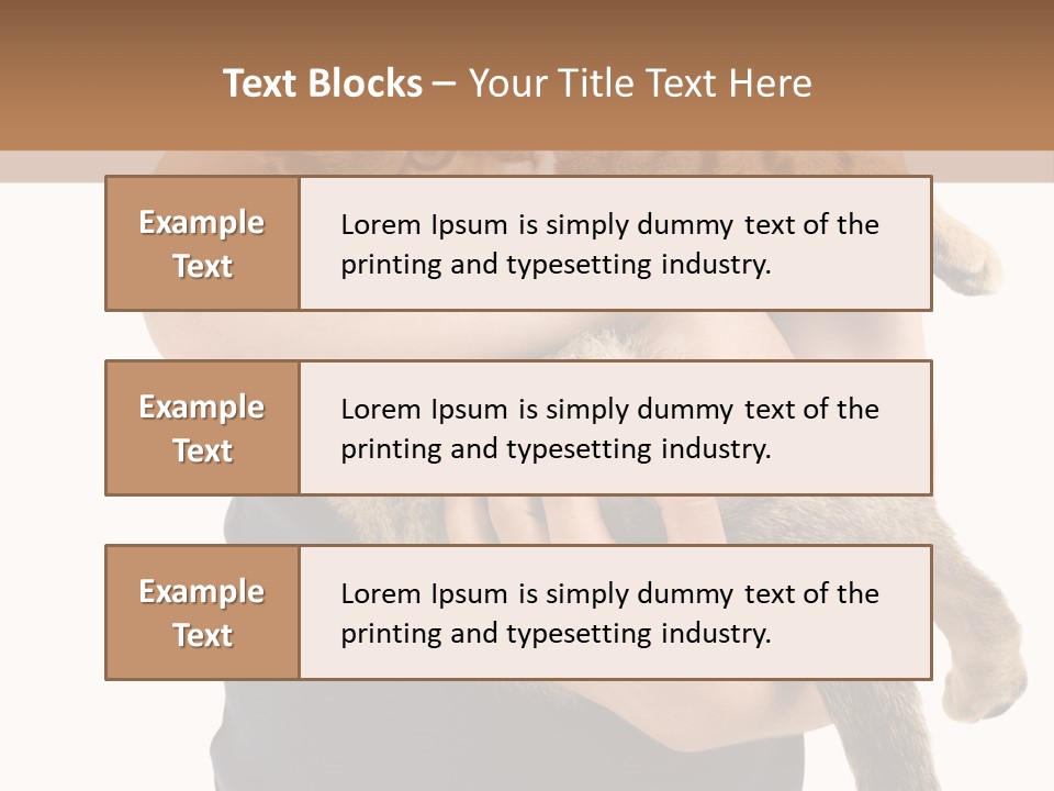 Holding Young Mammal PowerPoint Template