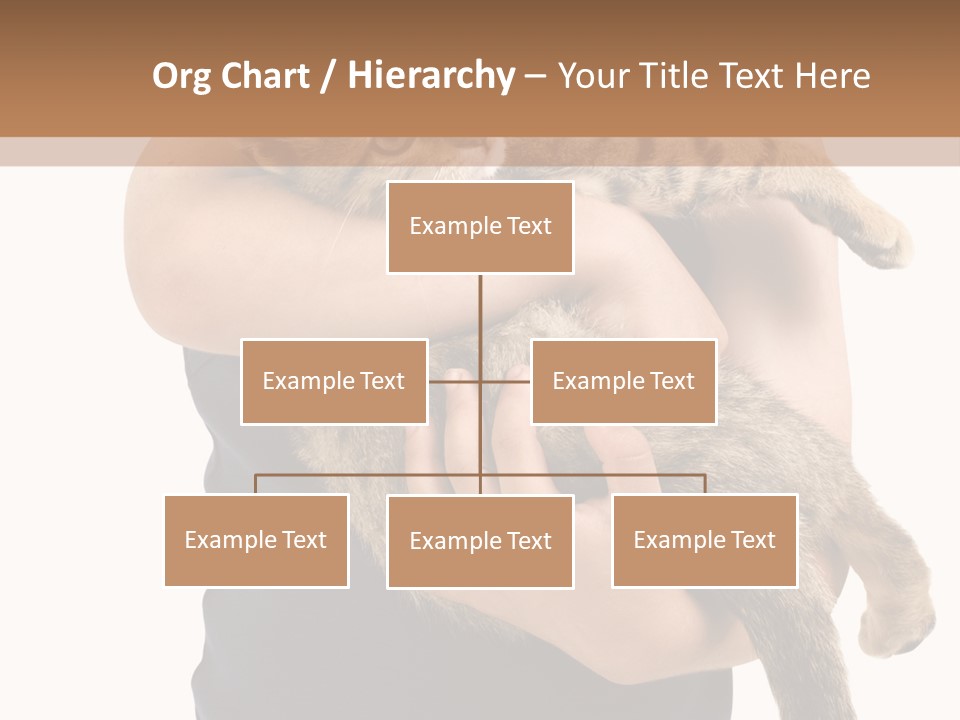 Holding Young Mammal PowerPoint Template