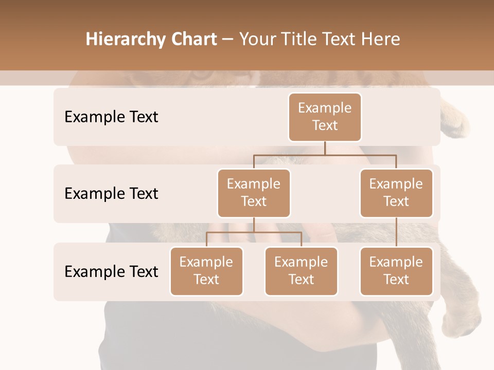 Holding Young Mammal PowerPoint Template