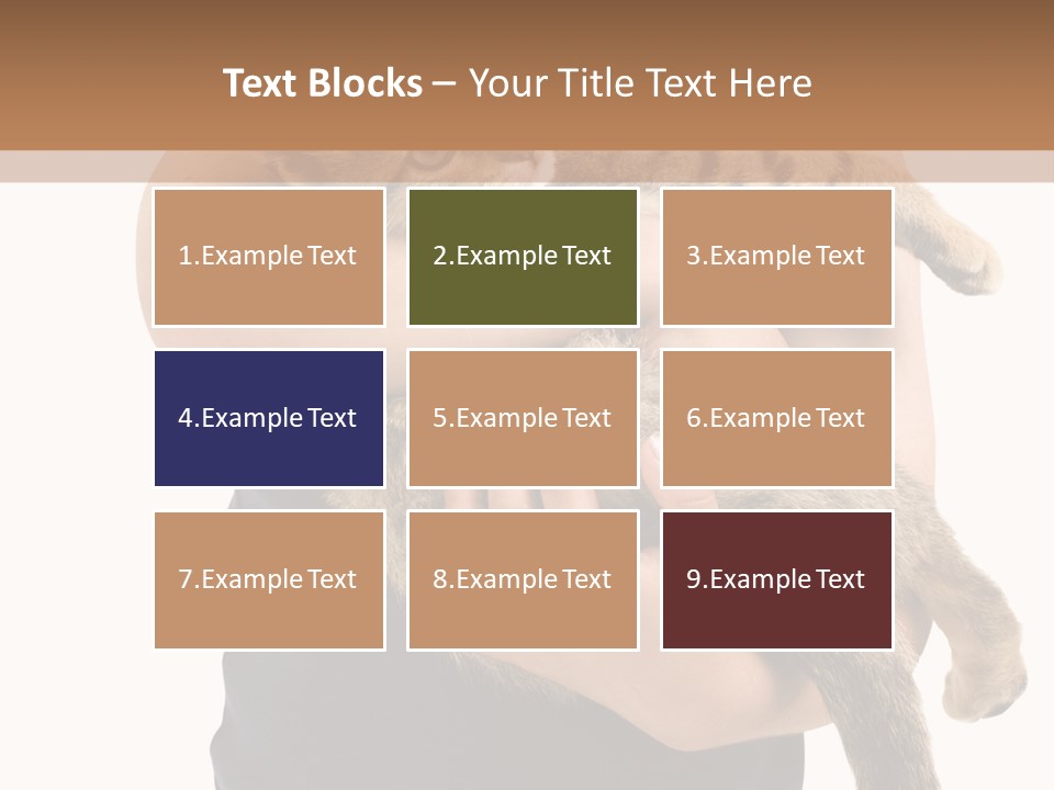 Holding Young Mammal PowerPoint Template