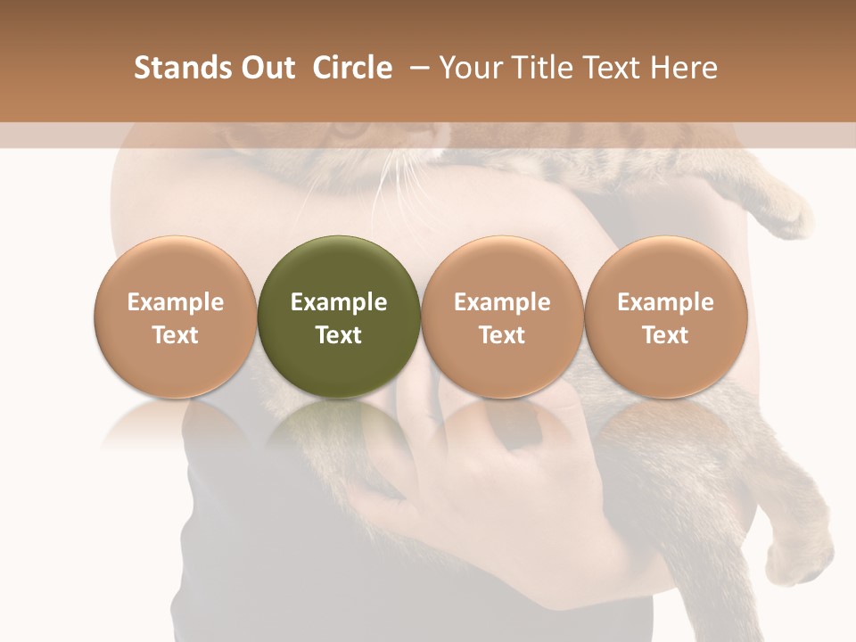 Holding Young Mammal PowerPoint Template