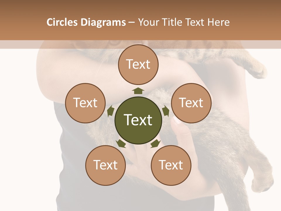 Holding Young Mammal PowerPoint Template