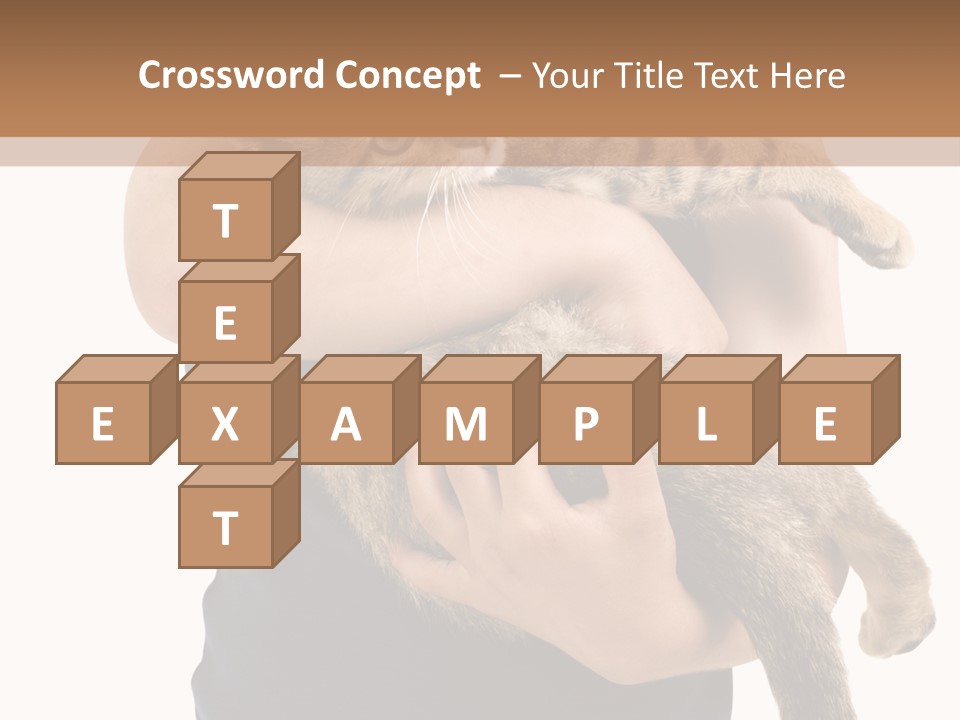 Holding Young Mammal PowerPoint Template