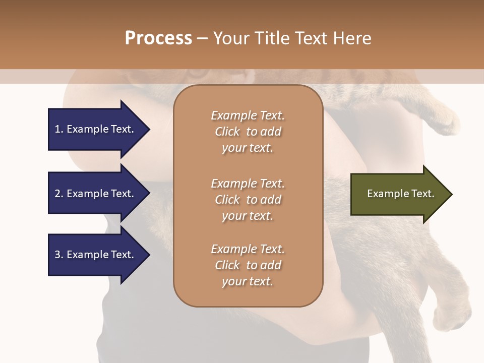 Holding Young Mammal PowerPoint Template