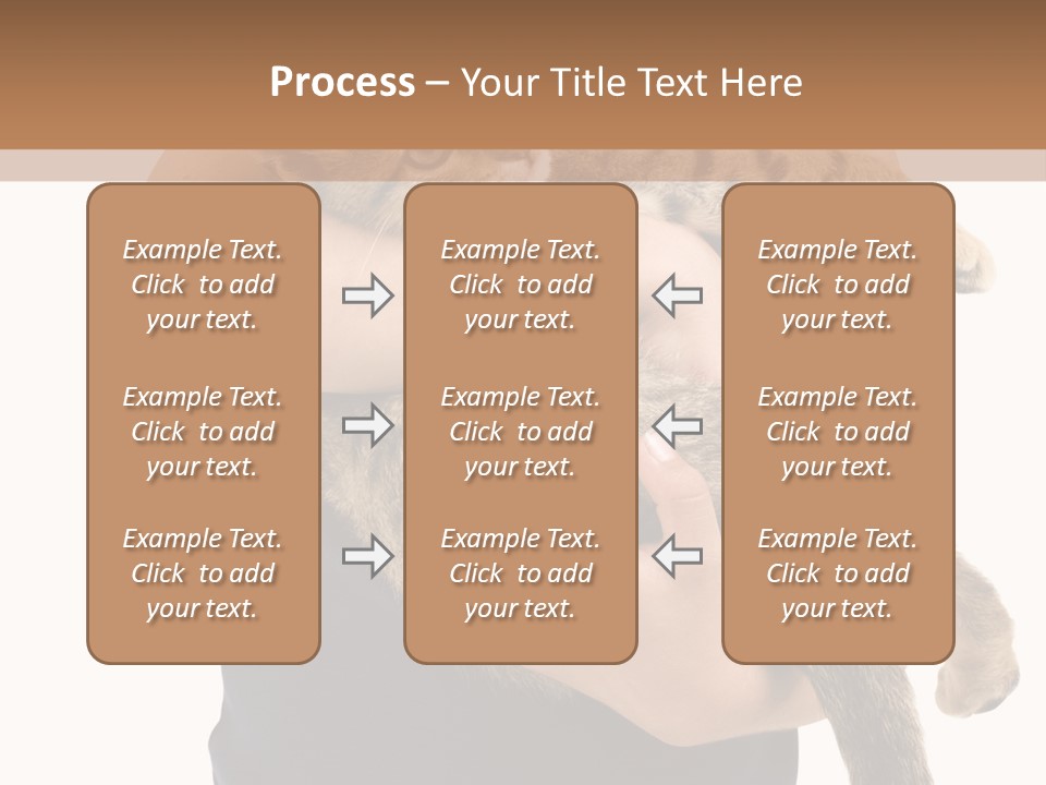 Holding Young Mammal PowerPoint Template