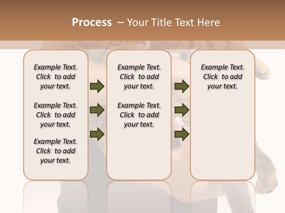 Holding Young Mammal PowerPoint Template