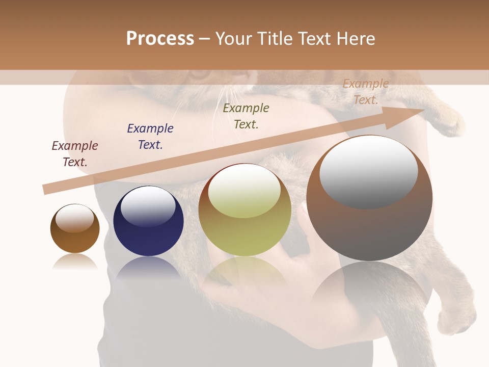 Holding Young Mammal PowerPoint Template