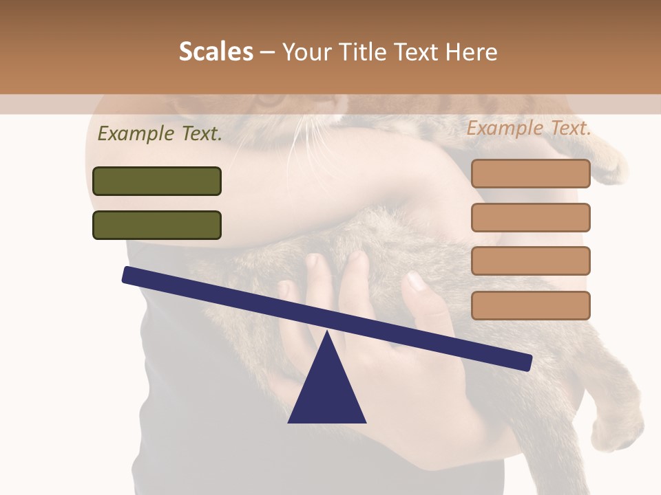 Holding Young Mammal PowerPoint Template