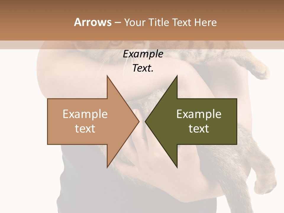 Holding Young Mammal PowerPoint Template