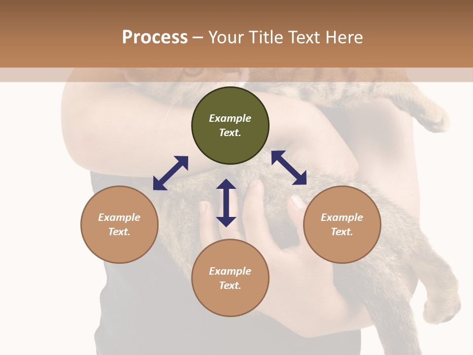 Holding Young Mammal PowerPoint Template