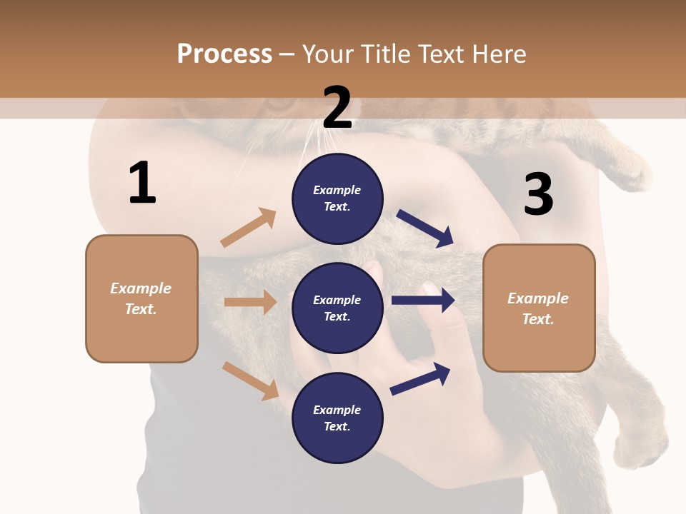 Holding Young Mammal PowerPoint Template