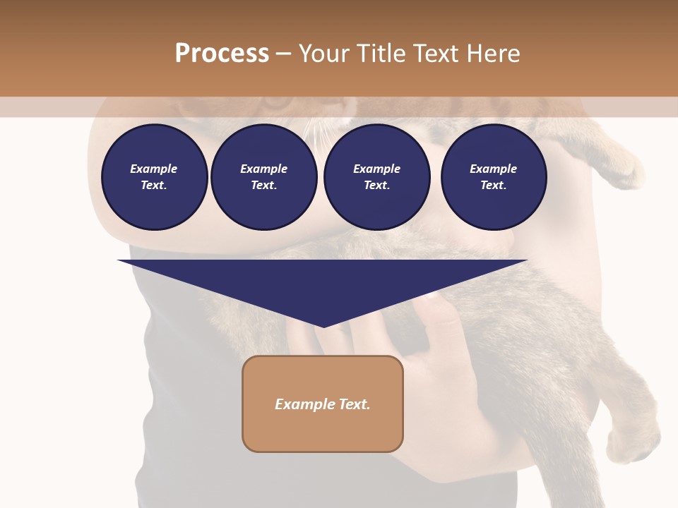 Holding Young Mammal PowerPoint Template