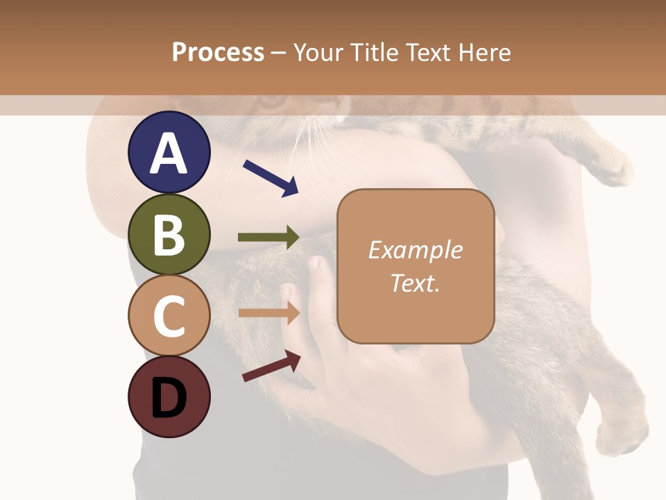 Holding Young Mammal PowerPoint Template