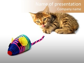 Toy Mouse Horizontal Mice PowerPoint Template