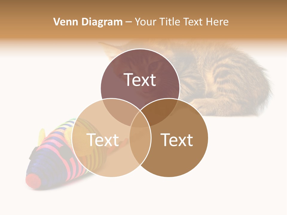 Toy Mouse Horizontal Mice PowerPoint Template