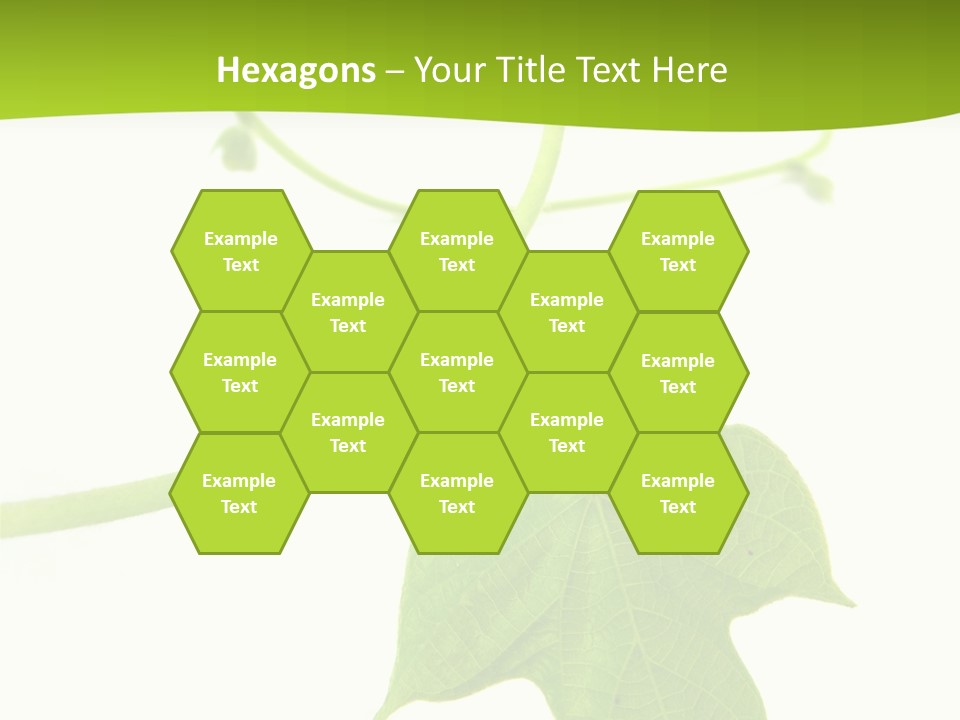 Nature Color Nobody PowerPoint Template