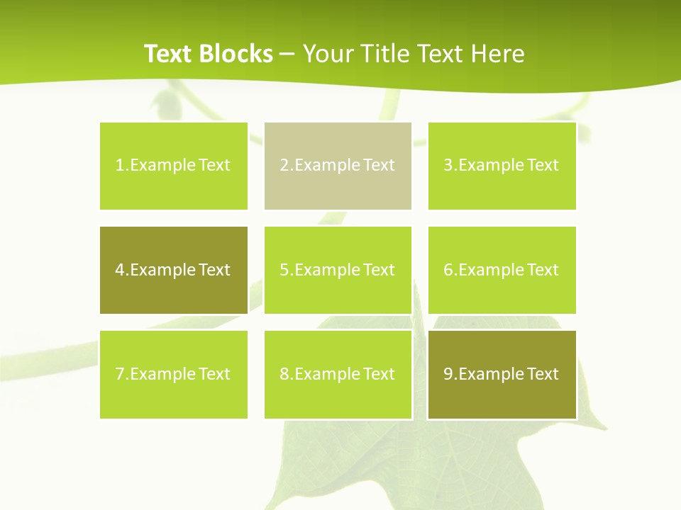 Nature Color Nobody PowerPoint Template