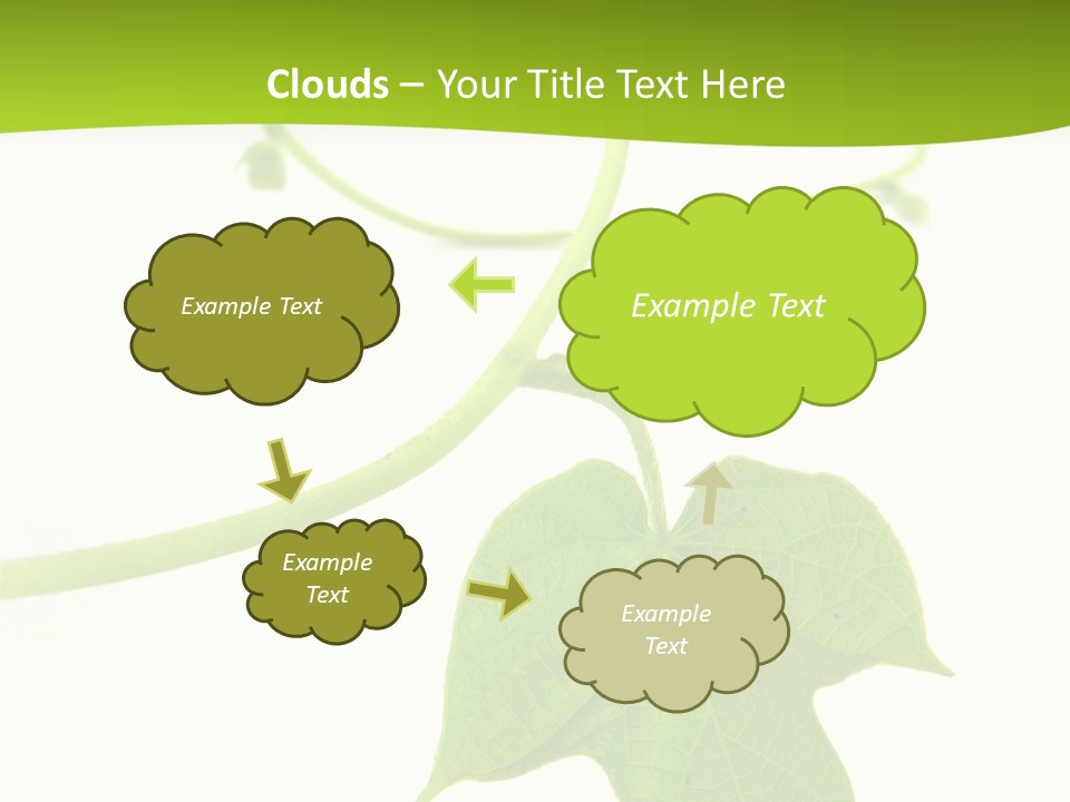 Nature Color Nobody PowerPoint Template