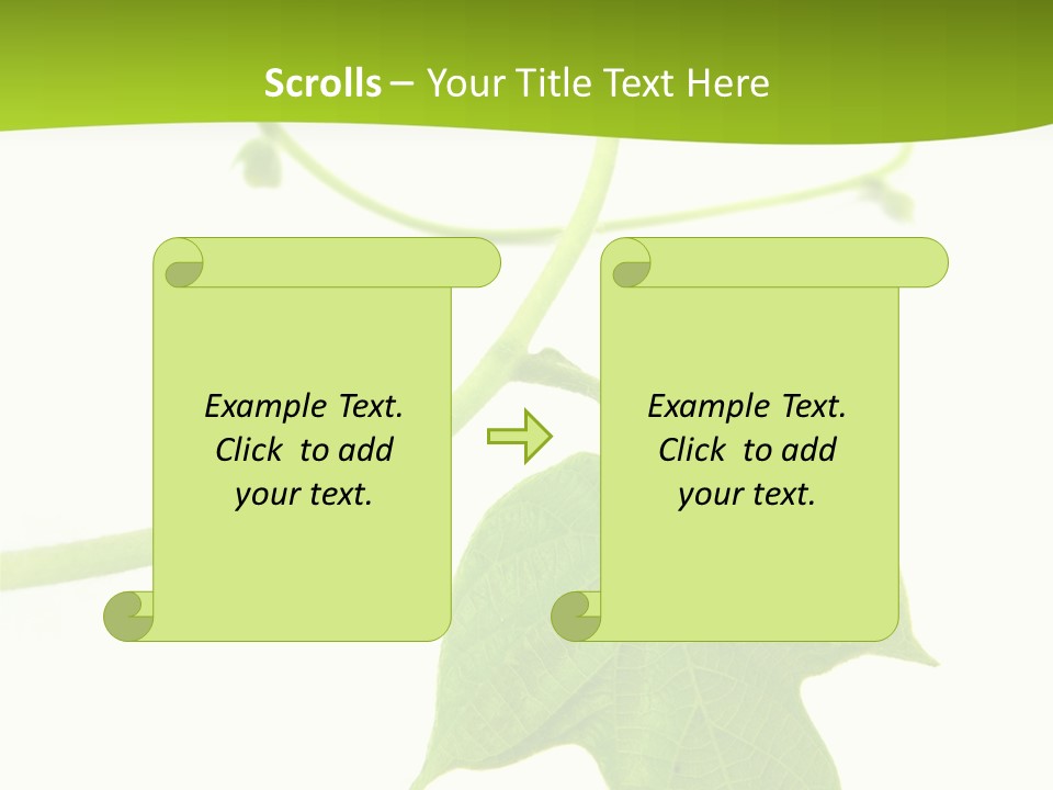 Nature Color Nobody PowerPoint Template