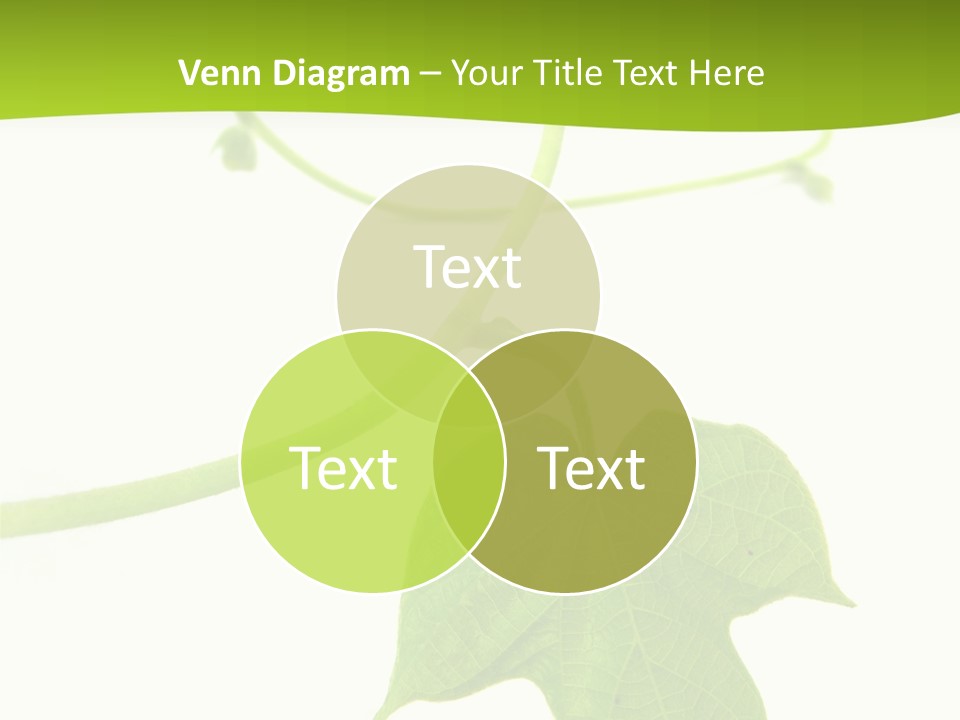 Nature Color Nobody PowerPoint Template