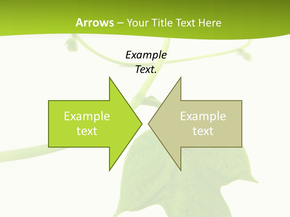 Nature Color Nobody PowerPoint Template