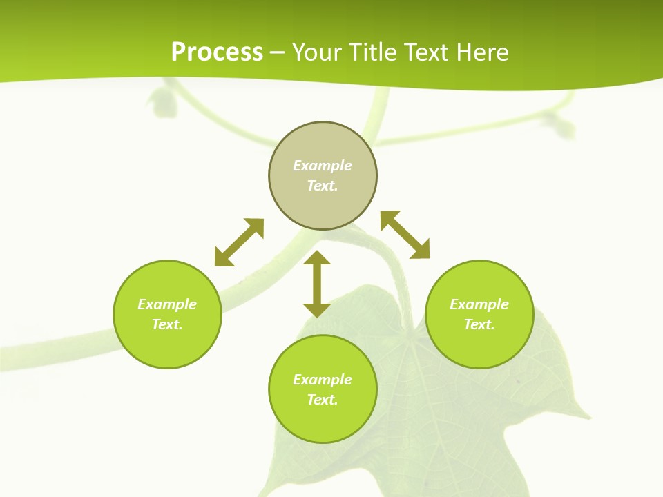 Nature Color Nobody PowerPoint Template