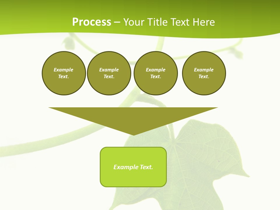 Nature Color Nobody PowerPoint Template