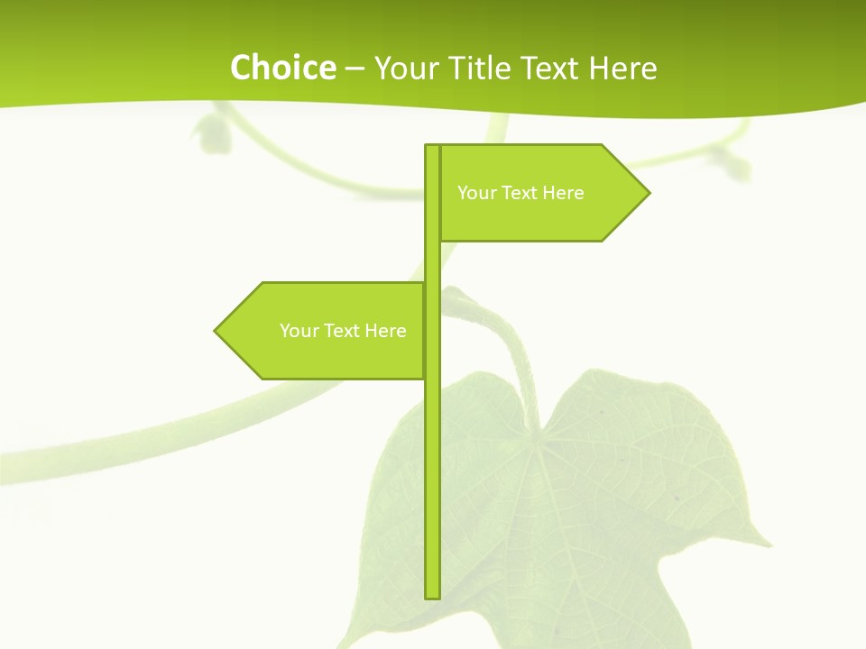 Nature Color Nobody PowerPoint Template