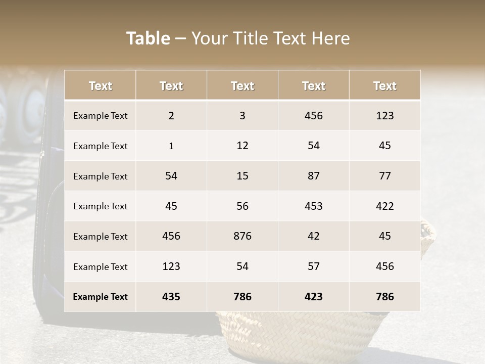 Case Suitcase Flight PowerPoint Template