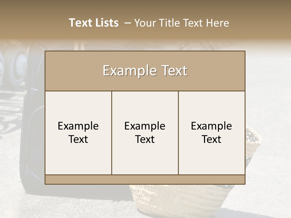 Case Suitcase Flight PowerPoint Template