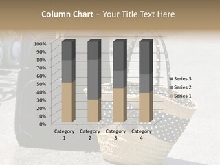 Case Suitcase Flight PowerPoint Template