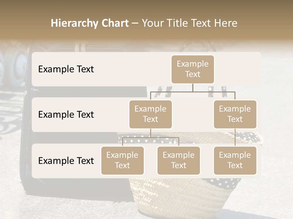 Case Suitcase Flight PowerPoint Template