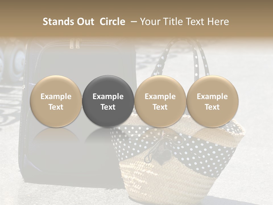 Case Suitcase Flight PowerPoint Template