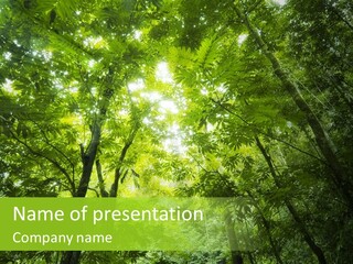 Outdoor Fantastic Foliage PowerPoint Template