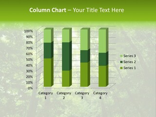 Outdoor Fantastic Foliage PowerPoint Template