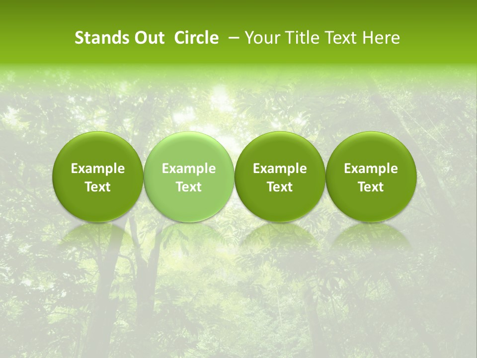 Outdoor Fantastic Foliage PowerPoint Template