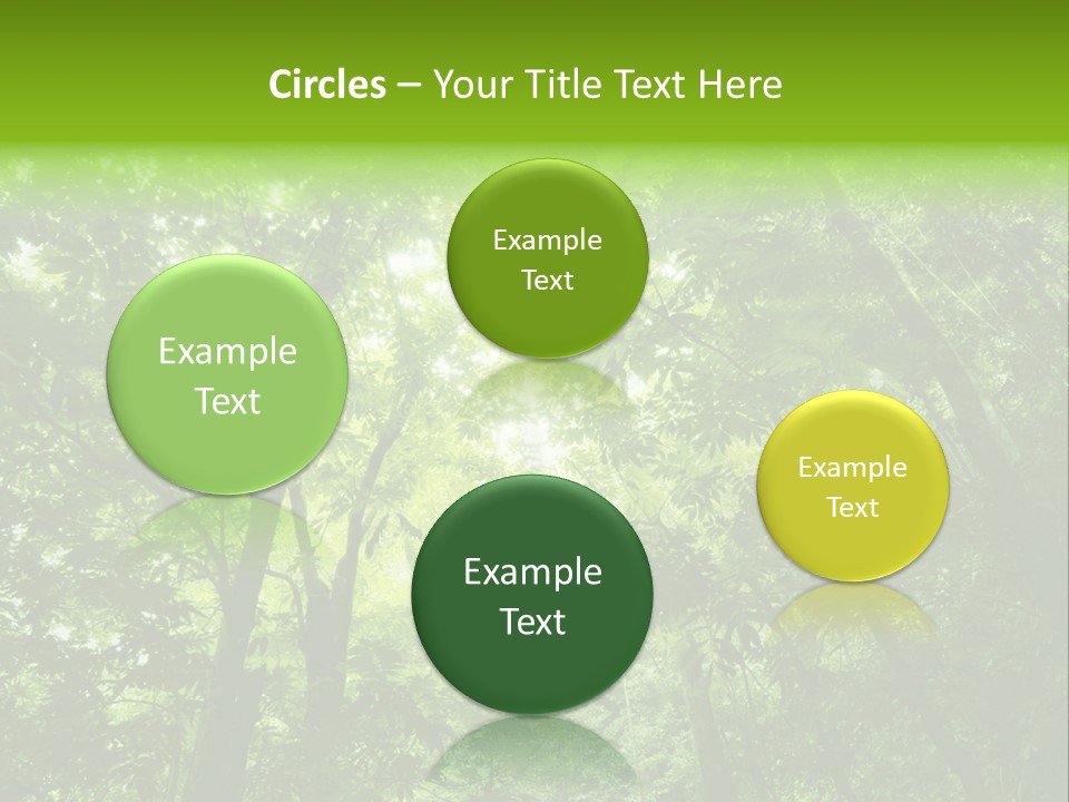 Outdoor Fantastic Foliage PowerPoint Template