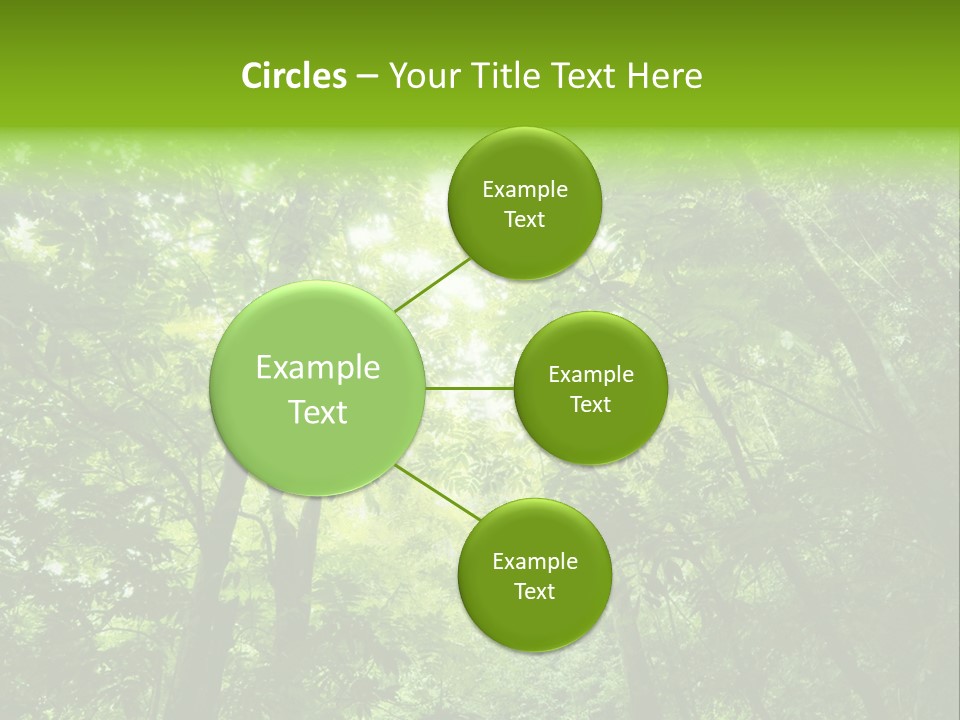 Outdoor Fantastic Foliage PowerPoint Template