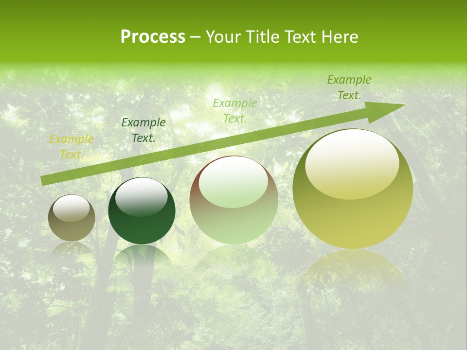 Outdoor Fantastic Foliage PowerPoint Template