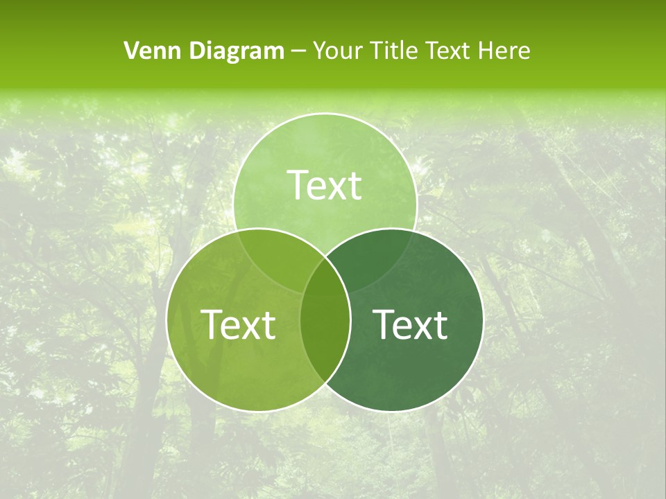 Outdoor Fantastic Foliage PowerPoint Template