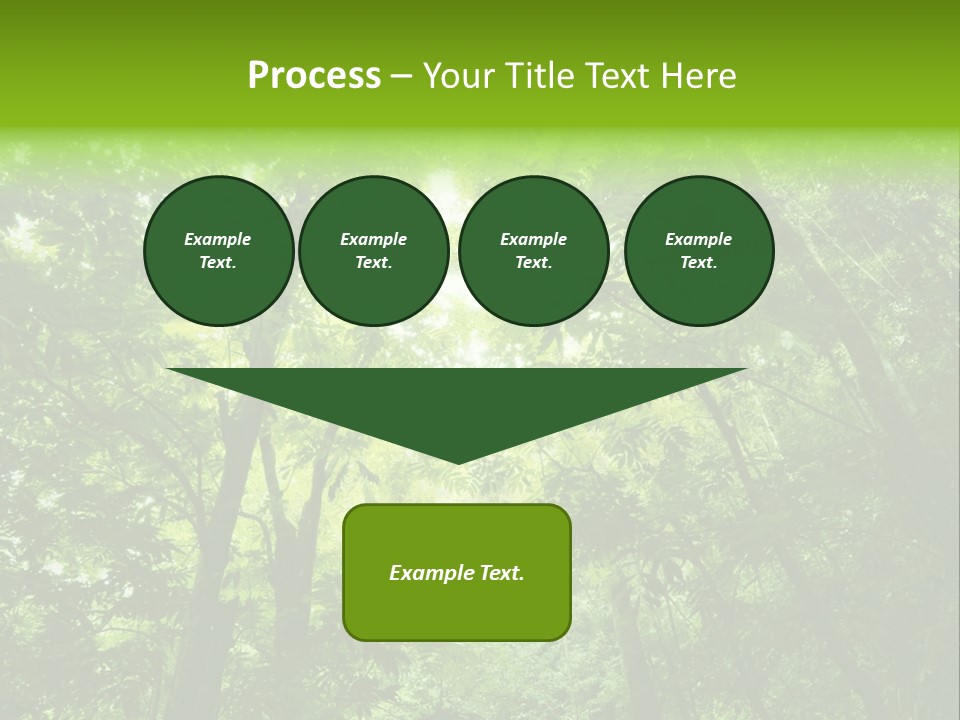 Outdoor Fantastic Foliage PowerPoint Template