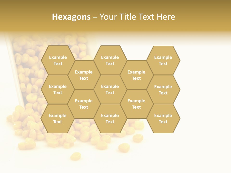 Canned Isolated Sweet Corn PowerPoint Template