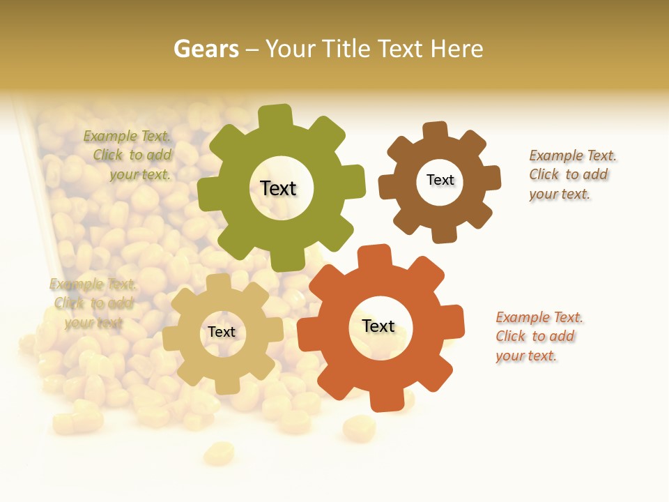 Canned Isolated Sweet Corn PowerPoint Template