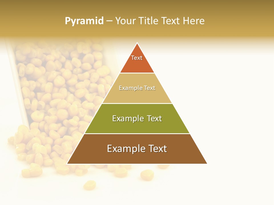 Canned Isolated Sweet Corn PowerPoint Template