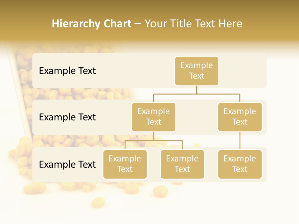 Canned Isolated Sweet Corn PowerPoint Template