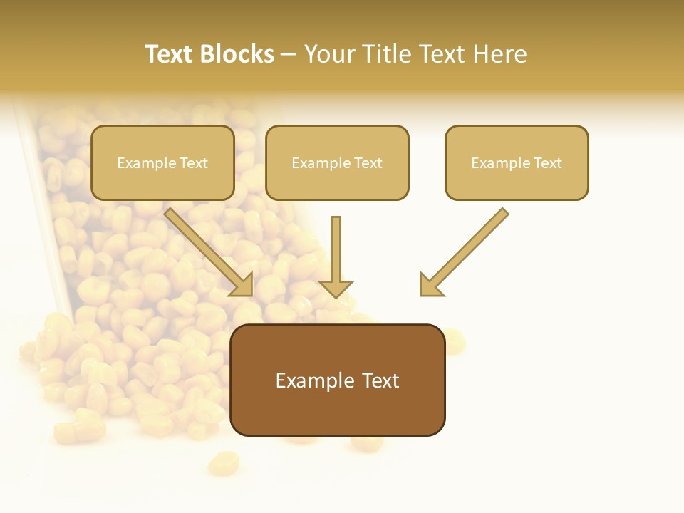 Canned Isolated Sweet Corn PowerPoint Template