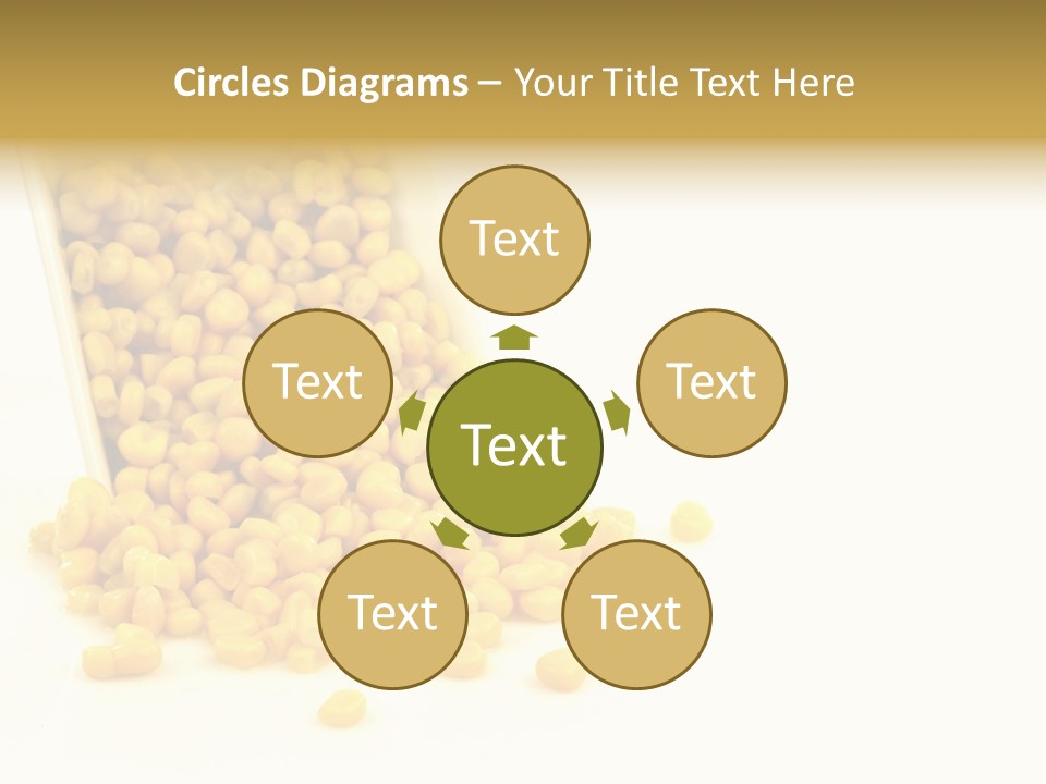 Canned Isolated Sweet Corn PowerPoint Template