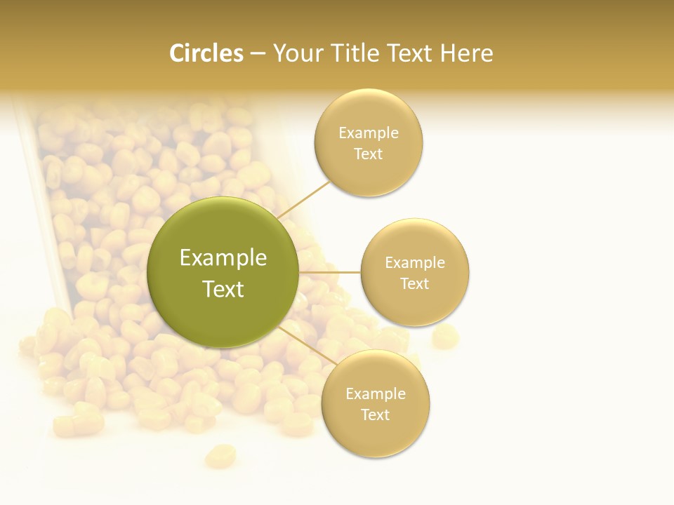 Canned Isolated Sweet Corn PowerPoint Template