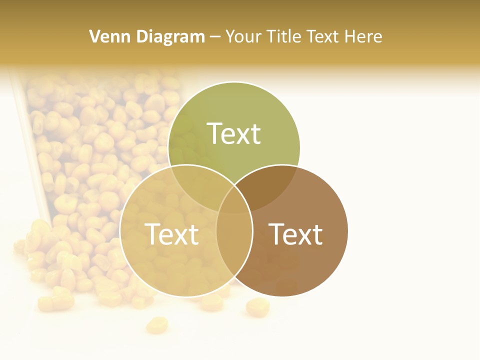 Canned Isolated Sweet Corn PowerPoint Template
