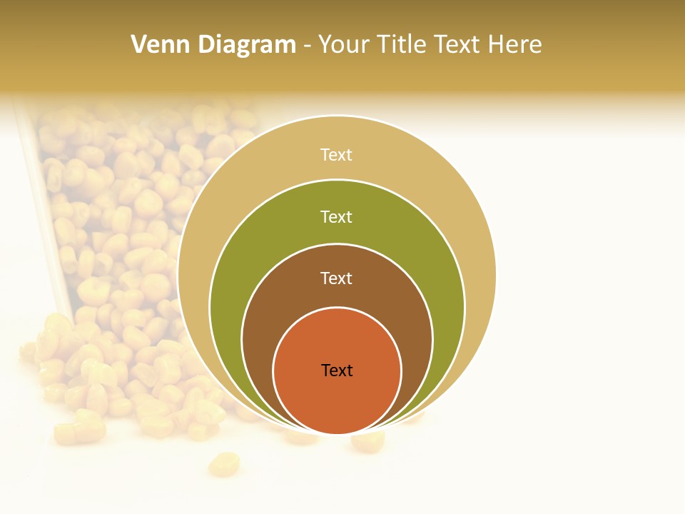 Canned Isolated Sweet Corn PowerPoint Template